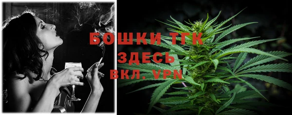 твердый Дмитров