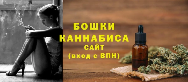 спайс Гусь-Хрустальный