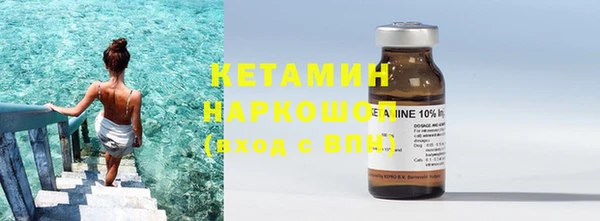 стаф Дмитриев