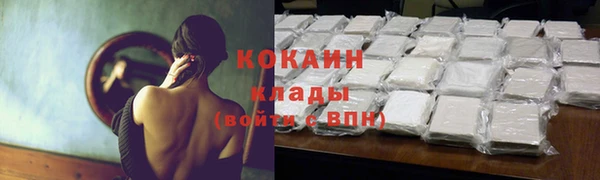 твердый Дмитров