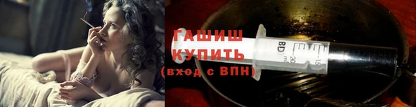 стаф Дмитриев