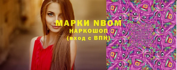 стаф Дмитриев