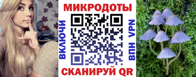 Галлюциногенные грибы Psilocybine cubensis  Павловская 